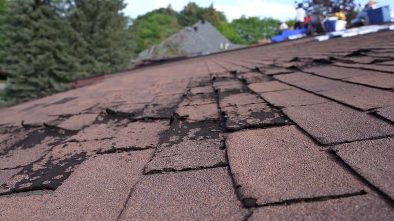  Citrus Park, FL Roofing Service Pros